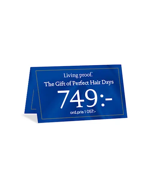 PRISSKYLT - "THE GIFT OF PERFECT HAIR DAYS"