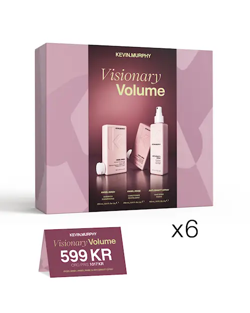 VISIONARY VOLUME - HOLIDAY DEAL PAKET - 6-PACK