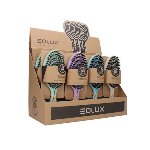 ANTI-FRIZZ HAIRBRUSH (12-PACK + DISPLAY)