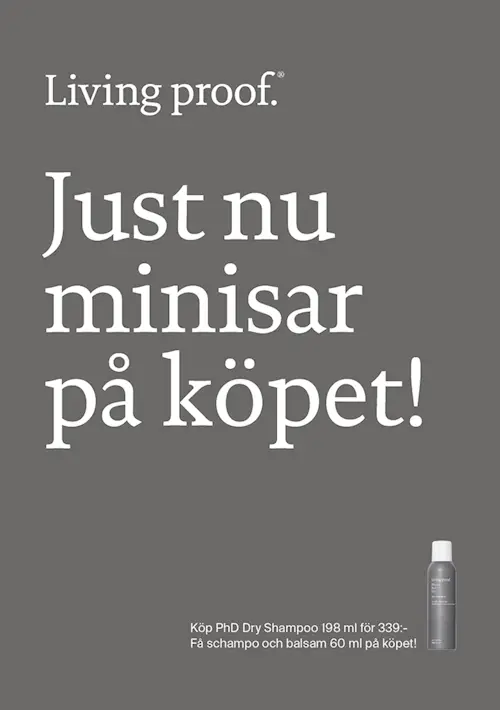 SKYLT A5 - "MINISAR PÅ KÖPET"