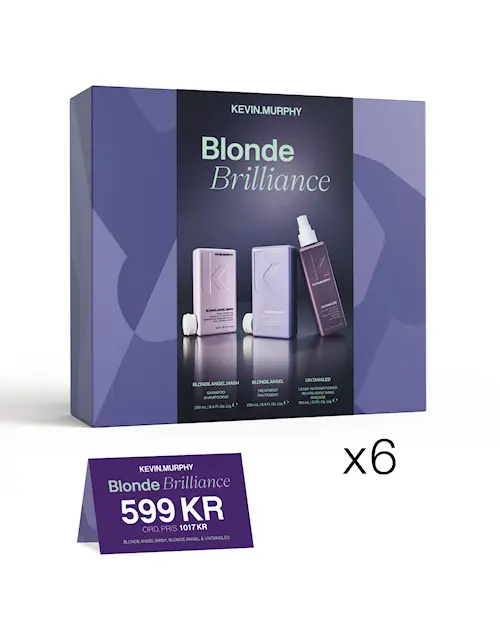 BLONDE BRILLIANCE - HOLIDAY DEAL PAKET - 6-PACK